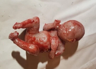 Horror movie prop silicone fetus human baby gore  goth freakshow weird  - Image 1 of 4