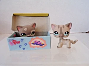 Littlest Pet Shop~#467~Cat~Sitting~#468~Cat~Walking~Gray Striped~Shoe Box - Picture 1 of 5