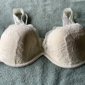 Delta Burke Bra Padded Underwire Mesh Lace Cups 2676-44 Ivory 36D - Picture 1 of 3