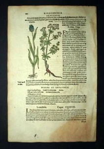 Gravure estampe PIVOINE MÂLE, LE GRÉMILS, PHALARIS et GARANCE DES TEINTURIERS - Imagen 1 de 4