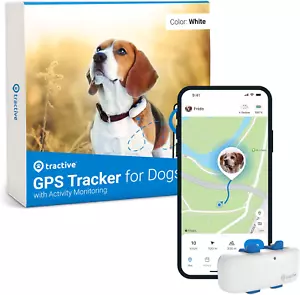 GPS Dog Tracker | Real-Time Pet Location Tracker | Health & Wellness Alerts | Vi - Picture 1 of 12
