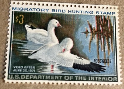 Edward Bierly, OR 37, sello federal, 1970-71, sello como nuevo, muy buen estado Foto 1 de 4