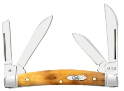 Case XX #58209 Smooth Antique Bone Small Congress Pocket Knife 6468 SS - Image 1 of 4