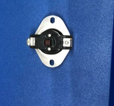 9576-203-002 Dexter Dryer Hi-Limit Manual Thermoste ( Red Reset Button)