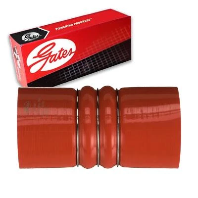 Manguera intercooler Gates para Freightliner XC 2004-2005 Foto 1 de 3