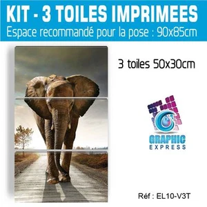 50x90cm -3 TOILES IMPRIMEE-TABLEAU DECORATION MURALE - ELEPHANT - EL10-V3T - Foto 1 di 18