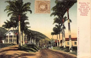 CANAL PANAMÁ - Mostrando las hermosas palmeras y bonitos caminos en el Hospital Ancón - Imagen 1 de 2