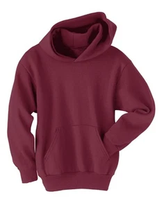 Hanes Youth Sweatshirt Pullover Hoodie ComfortBlend EcoSmart Unisex Boys Girls - Picture 1 of 25