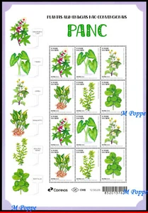 24-03 BRAZIL 2024 UNCONVENTIONAL FOOD PLANTS, PANC, FLOWERS, SHEET MNH - Picture 1 of 2