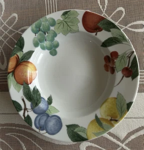 STUDIO NOVA ORCHARD JEWELS RIMMED SOUP BOWL - 9" FRUITS 6 AVAILABLE COLORFUL - Picture 1 of 5
