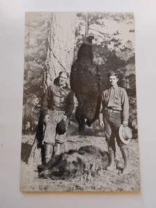 Zane Grey And Son Postcard  Two Bruins From The Tonto - Picture 1 of 3