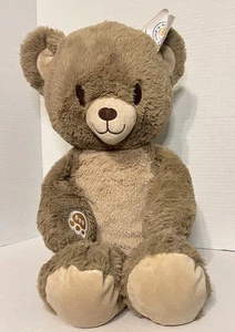 Build-A-Bear Heartwarming Hugs Teddy Bear Weighted 2024 Has TAGS - Missing Heart - Picture 1 of 12