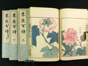 BAIREI-200 FIORI xilografia giapponese set 4 libri colore Kachoga Meiji *222 - Foto 1 di 9