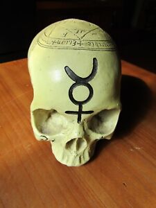 Skull with magick symbols. Witchcraft. Dark arts. 