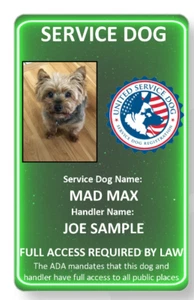 Neon green Service Dog/Emotional support/Therapy Dog ID card  - Picture 1 of 1