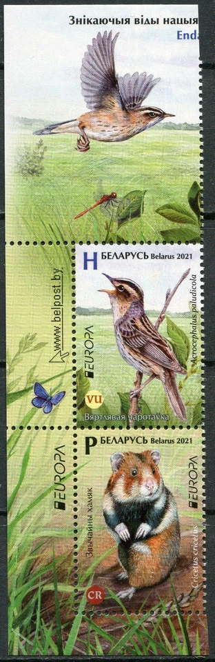 Bielorrusia 2021. Especies de animales en peligro de extinción (I) (MNH OG **) Bloque de 2 sellos Foto 1 de 1