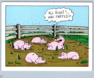 1980's PIGS IN MUD*ALL RIGHT WHO FARTED? ROBERT CAVEY KV CARTOON POSTCARD - Picture 1 of 2
