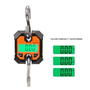 Digital Fishing Scale Multifunction 0.2kg To 100kg Portable Electronic Hook - Picture 1 of 24