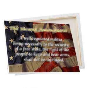 Patriotic Second Amendment American Flag Designs Aluminum / Canvas Wall Art Gift - Bild 1 von 14