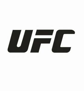 UFC Ultimate Fighting Championship Vinyl Die Cut Car Decal Stick- FREE SHIPPING - Picture 1 of 1