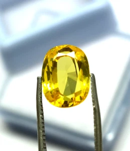 Oval Yellow Sapphire 7-8 Ct For Making Jewelry Certified Loose Sapphire Gemstone - Bild 1 von 4