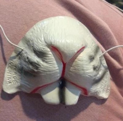 Пасхальный кролик нос - белый - костюм аксессуар - один размер - Изображение 1 из 2