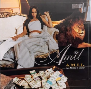 AMIL A.M.I.L. ALL MONEY IS LEGAL Album Cover Promo 12x12 flaches Doppelposter - Bild 1 von 2