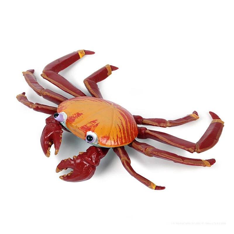 Figuras de animais marinhos de caranguejo Sally brinquedo estatueta de animal marinho plástico brinquedo para crianças - Imagem 1 de 1
