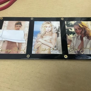 Echo Johnson Deanna Brandye Elaine 3 Picture Frame - Picture 1 of 6