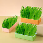Cat Snack Planting Color Pot Lazy Soilless Hydroponic Cat Grass Planting Box