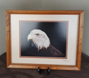 Foto de águila calva americana enmarcada firmada fotógrafo de naturaleza pájaro de las Holandesas Rocosas - Imagen 1 de 9