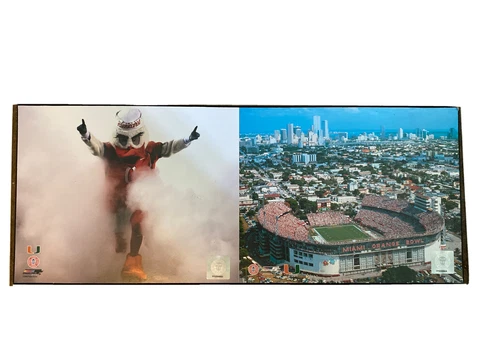 NCAA 2011 Miami Hurricanes Orange Bowl Stadium / Mascot/Canes Panoramic Poster Cover
