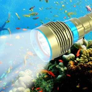 500000LM Unterwasserlaterne Tauchtaschenlampe Speerfischen Lampe Tauchfackel - Bild 1 von 10