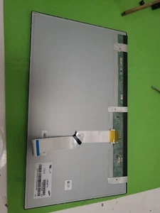 Dell Inspiron One 2020 AIO PANTALLA LCD LTM200KT100SLVO modelo LTM200K10 - Imagen 1 de 11