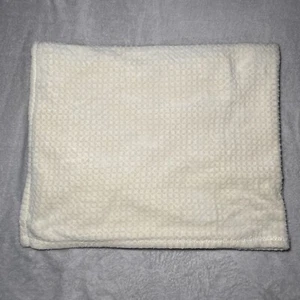Adirondack Baby Blanket Cream Embossed Textured Fleece Soft Plush Lovey 30"x40" - Picture 1 of 4
