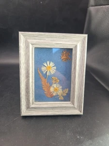 Vintage gerahmter getrockneter botanischer Kunst Holzrahmen 4,25 x 3,5 Zoll - Bild 1 von 11
