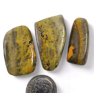 Jasper Bumble Bee Polished Slices Indonesia 14.4 grams - Picture 1 of 1