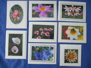 #30 NUOVI lotto-8 biglietti di auguri floreali fatti a mano comprensivi di buste 7-5x7" e 1-5x5" - Foto 1 di 9