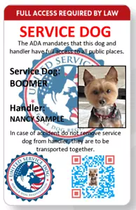 Service dog with custom QR code, direct scan with phone to registration web page - Picture 1 of 1