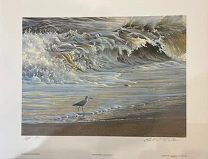 Robert BATEMAN Willet on the Shore Limited Edition Art Print Artist Proof #1 - Picture 1 of 11