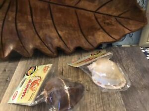 2 Zoo Med HERMIT CRAB "GROWTH" SHELL X-LARGE - Brand new in packaging