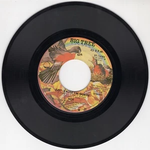 Soul 45 Hot - Just Cause I'M Guilty / Angel In Your Arms On Big Tree Records 9 - Picture 1 of 2