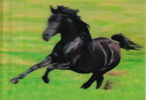 POSTCARD: 3D TYPE   "ARABIAN HORSE GALLOPING"   BY AUTHENTIC CARDS  - Imagen 1 de 2