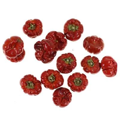 FLORAL-DIREKT 100g Mini Kürbisse rot getrocknet natur 2-6cm Kürbis Putkha Herbst Halloween