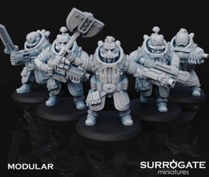 Zoltan Alliance Spec Ops Warriors models Squad 5 - Picture 1 of 1