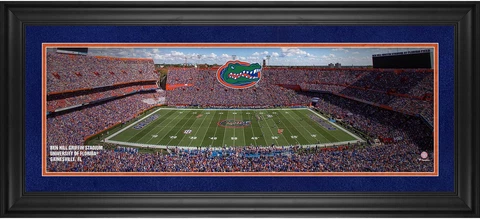 Florida Gators Framed 10x30 Ben Hill Griffin Stadium Panoramic Photo Cover