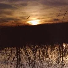 Avalon von Green,Anthony | CD | Zustand sehr gut - Image 1 of 2