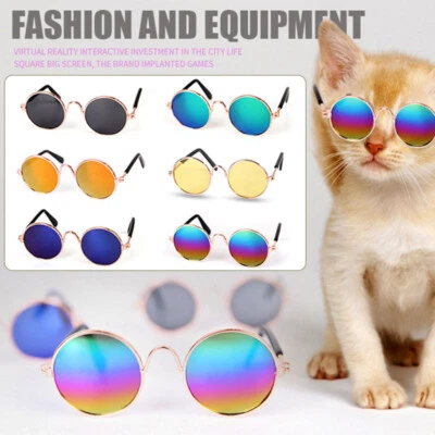 Dog/Cat Pet Glasses For Pet Small Dog Eye-wear Puppy Sunglasses Photos Props . - Image 1 of 4