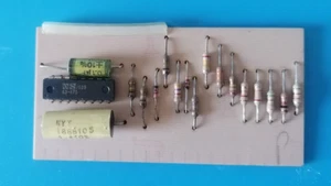 Moog Polymoog key cards with Polycom Chip Ultra Rare Perfect Working - Imagen 1 de 1