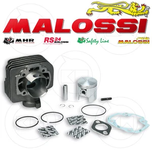 MALOSSI 317137 KIT CILINDRO Ø 47 IN GHISA SPINOTTO Ø 10 ITALJET VELOCIFERO 50 2T - Foto 1 di 1